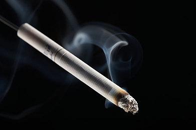 人气游戏续作《史莱姆牧场2》 现已在Steam开启抢先体验